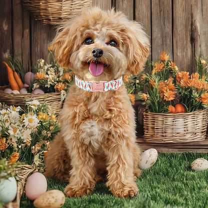 Easter Dog Collar, Cute Carrot Easter Collar for Boy Girl Dogs, Adjustable Heavy Duty Spring Holiday Dog Collars for Small Medium Large Dogs with Metal Buckle XL