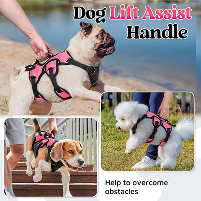 rabbitgoo Escape Proof Dog Harness for Small, No Pull with Lift Handle | No Escape, Full Soft Padded, Reflective Adjustable Vest, Leash Clip for Walking Hiking Training, Peach Pink, Small