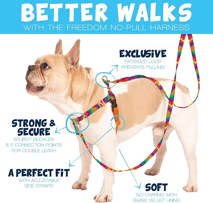 2 Hounds Design Freedom No Pull Dog Harness, 5/8 inch SM, Neon Orange | Discourages Pulling, Comfortable Control Adjustable Dog Harness for Small Sized Dogs, Made in USA (Leash Not Included)