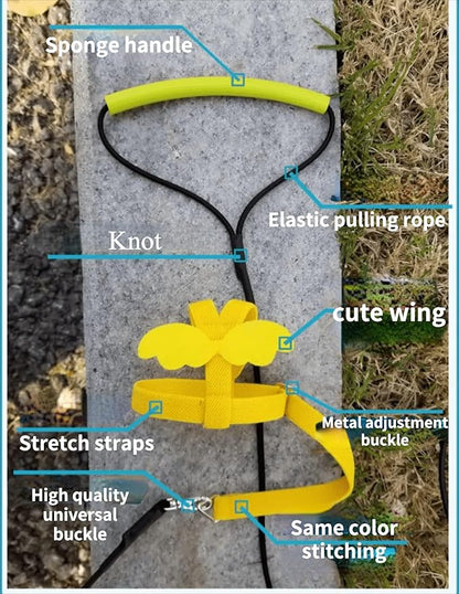 Adjustable Bird Harness with Elastic Leash, Pet Parrot Harness and Leash, Adjustable Training Design Anti-Bite, Bird Nylon Rope with Cute Wing for Conure (Purple,XS)