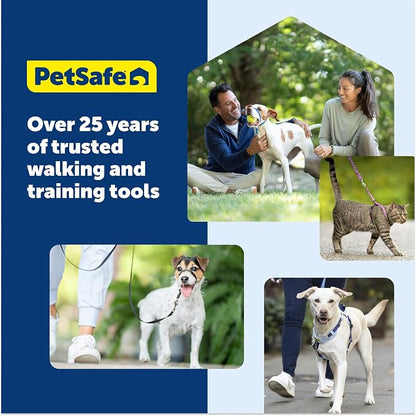 PetSafe Easy Walk Comfort No Pull Dog Harness, Black, Small | Stops Pulling on First Use with Front Martingale Loop, Full-Body Padding, 5-Point Adjustable Fit