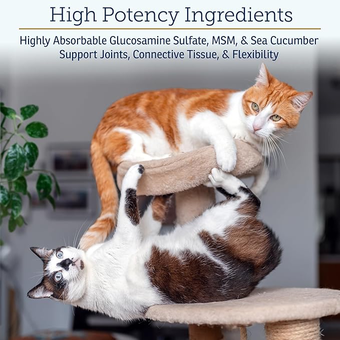 Rx Vitamins MegaFlex - Glucosamine Sulfate with MSM - Cat & Dog Hip and Joint Supplement - Contains Vitamin C and Sea Cucumber - Supports Joint Health and Flexibility - 600g