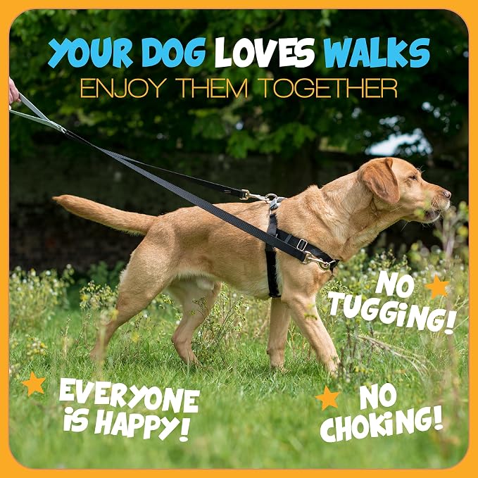 2 Hounds Design Freedom No Pull Dog Harness and Leash, 1" XL, Red | Promotes Easy Walking & Comfortable Control, Adjustable Harness and Leash Set for Extra Large Sized Dogs, Made in USA