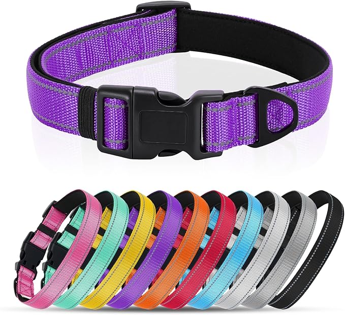 Reflective Dog Collar with Quick Release Buckle - Metal Ring - Adjustable Soft Neoprene Padded Basic Dog Collar for Small Medium Large Dogs (Purple, Small :Width 1",Neck 11.8-15.7")