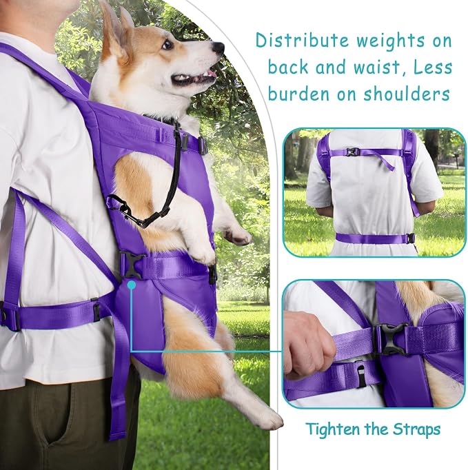 PetBonus Dog Front Carrier Backpacks, Legs Out Easy-fit Puppy Chest Carrier | Hands Free, Adjustable, Safety Strap, Walking Hiking Cycling Motorcycle bag, For Small Medium Dogs (Purple, M)