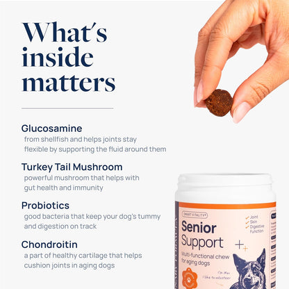 Veterinary Formula Smart Vitality Senior Support Dog. Chosen for real quality, not just packaging.