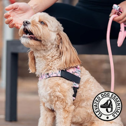 Dog Friendly Co. Dog Harness for Small Dogs (Pink Camo, XXSmall) | One Click Buckle, Chafe Resistant Webbing, Adjustable Neck & Chest, and Heavy Duty D-Ring, Sturdy Comfortable and Easy to Use