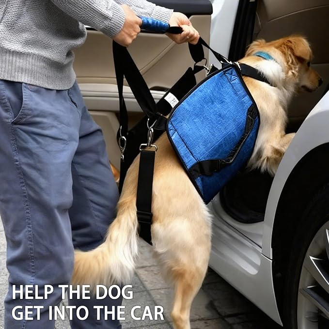 Adjustable Dog Lift Harness, Dog Carry Sling Provides Rear Leg Support for Senior Dogs, Arthritis and After ACL Surgery Dogs,Suitable for Medium to Large Dogs,Blue XXL