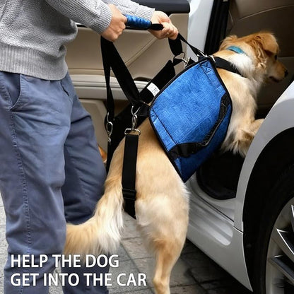 Adjustable Dog Lift Harness, Dog Carry Sling Provides Rear Leg Support for Senior Dogs, Arthritis and After ACL Surgery Dogs,Suitable for Medium to Large Dogs,Blue XXL