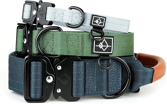 Made to ROAM Premium Explorer Control Collar - Adjustable Heavy Duty Nylon Dog Collar with Quick-Release Metal Buckle and Leather Handle (Texas Flair, Size 2, Control)