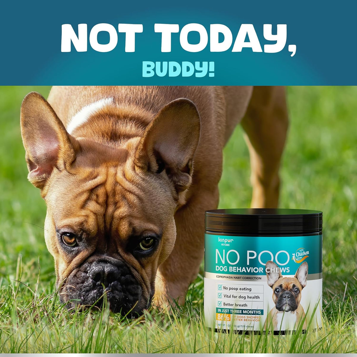 Kinpur Pet Care No Poo Behavior Chews - Help Beat The Habit with Natural Pumpkin, Broccoli, Chamomile, Chicken Liver & More - Forbids Poop Eating - Coprophagia Stool Eating Deterrent Beef Treats