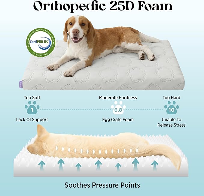 LE SURE ApexCloud™ Small Cooling Dog Bed with Washable Cover, 23x17 Inch | Q-Max>0.5 Cool-Touch Fabric, Orthopedic Egg Crate Foam,Breathable Non-Slip Summer Mat,For Active Senior Long-Haired Pets,Grey