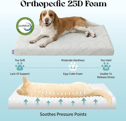 LE SURE ApexCloud™ Small Cooling Dog Bed with Washable Cover, 23x17 Inch | Q-Max>0.5 Cool-Touch Fabric, Orthopedic Egg Crate Foam,Breathable Non-Slip Summer Mat,For Active Senior Long-Haired Pets,Grey