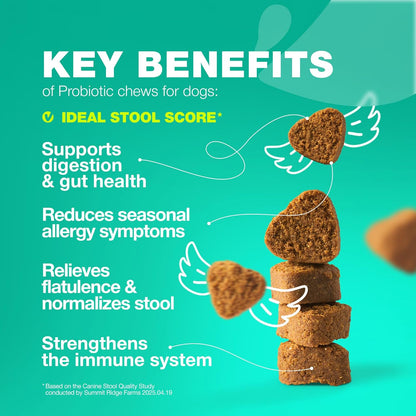 Probiotics for Dogs Gut Health, Digestion, Immunity, Yeast Balance, Itchy Skin, Allergies Support - Dog Probiotic Chews with Digestive Enzymes for Gut Flora- Soft Treats with Pumpkin and Yeast Powder