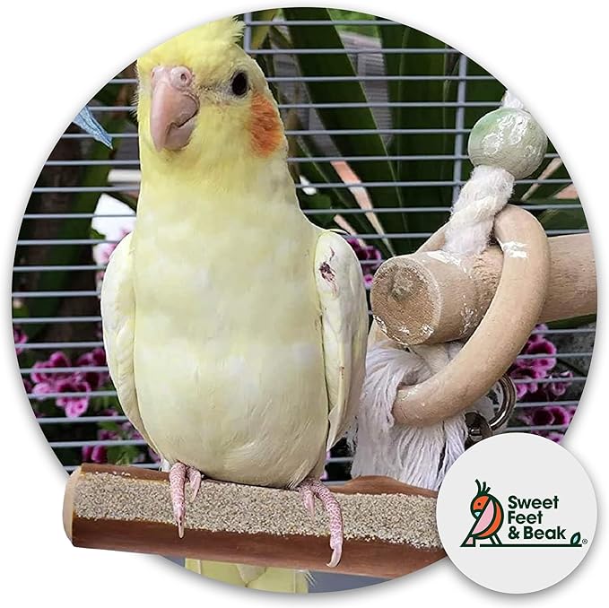 Sweet Feet and Beak Superoost Manzanita Pumice Pedicure Perch- Easy to Install Bird Cage Accessories for Healthy Feet, Nails and Beak - Natural Bird Perches Imitates Birds' Life in The Wild - M 10"