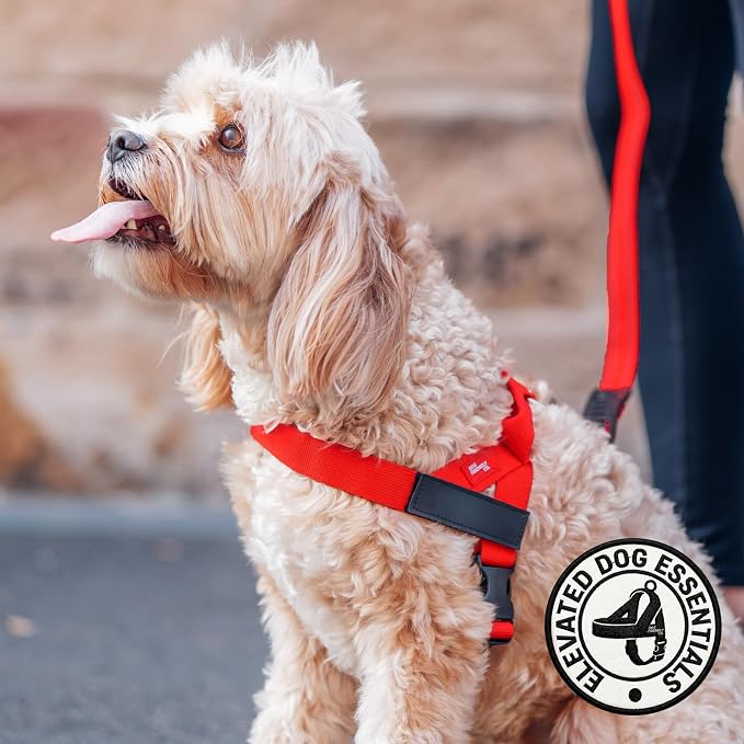 Dog Friendly Co. Dog Harness for Medium Dogs, Adjustable (Red, Medium) | One Click Buckle, Chafe Resistant Webbing, Adjustable Neck & Chest, and Heavy Duty D-Ring, Sturdy Comfortable and Easy to Use