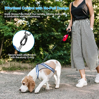 Visinite LED Dog Harness, USB Rechargeable Light Up Dog Vest, 2 Illuminate Modes Glow in The Dark Dog Harness, Adjustable Lighted Pet Harness Light for Night Walking Safety(Blue, S)
