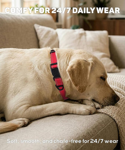 TagME Reflective Nylon Dog Collars, Adjustable Classic Pet Collar with Quick Release Buckle for Extra Large Dogs, Royal Blue, 1¼" Width