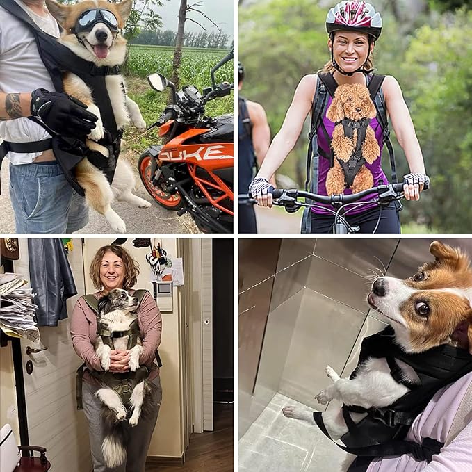 PetBonus Pet Front Dog Carrier Backpacks, Adjustable Pet Backpack, Legs Out Easy-fit Puppy Chest Carrier for Medium Small Dogs, Hands Free for Hiking, Cycling (Black, M) | Hands Free, Adjustable, Safety Strap, Walking Hiking Cycling Motorcycle bag, For...