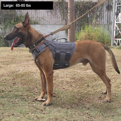 ICEFANG No Pull Tactical Dog Harness for Large Dogs,Adjustable Dog Vest | Control Handle,MOLLE Panel,Front Hook,3 Leash Clips,Soft Padded,for walking training,Grey,Large