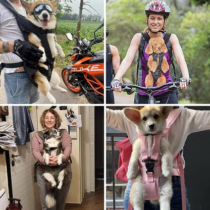 PetBonus Dog Front Carrier Backpacks, Legs Out Easy-fit Puppy Chest Carrier | Hands Free, Adjustable, Safety Strap, Walking Hiking Cycling Motorcycle bag, For Small Medium Dogs (Purple, L)