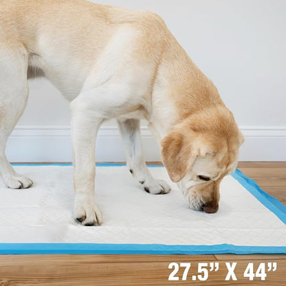 Four Paws Wee-Wee Superior Performance Gigantic Dog Pee Pads, 18 Count | Puppy & dog potty training pads, all day floor protection, housebreaking pet supplies, leak-proof puppy pads, 27.5" x 44"