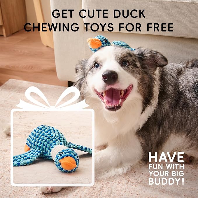 Homemate Dog Bed Large Sized Dog: 36"x27" Orthopedic Pet Bed with Toy | Large Dogs Bed with Non-Slip Botton & Removable Washable Cover Cat Bed Sofa L Outdoor Crate Pad Couch Dark Grey