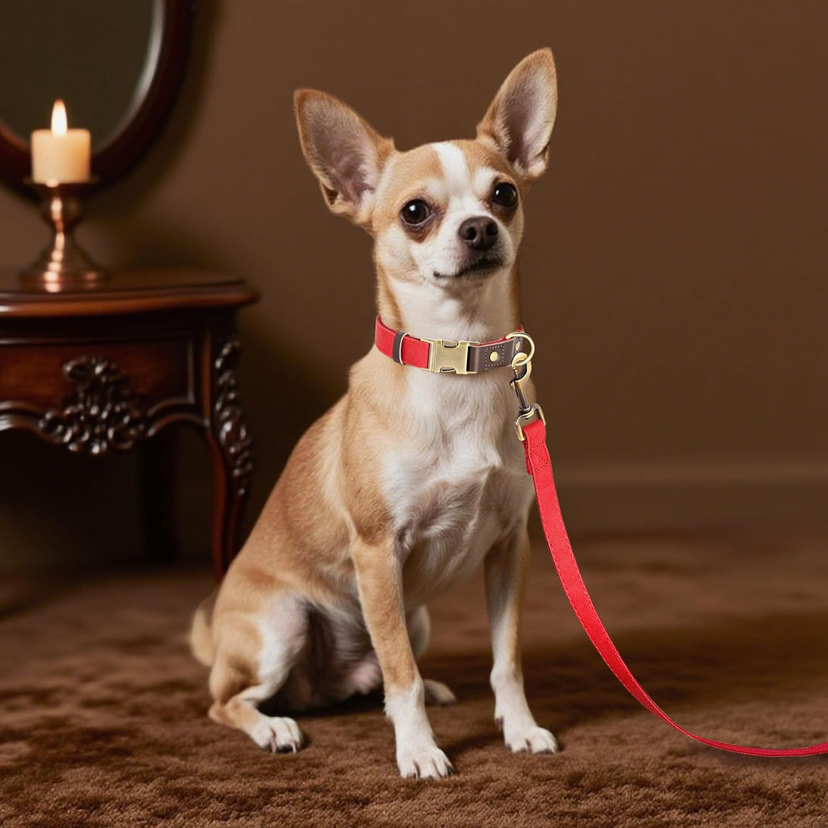 Didog Soft PU Leather Dog Collars for Small Dogs,Classic Adjustable Dog Collars with Quick Release Metal Buckle,Easy Clean and Comfortable with Nylon Lining,Red,S Neck 10-15"