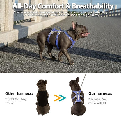 Escape Proof Dog Harness, No Pull Reflective Harness with Lift Handle, Adjustable Pet Vest with Front and Back Leash Clips for Small Medium Large Dogs Walking Hiking Training (Vista Blue,L)