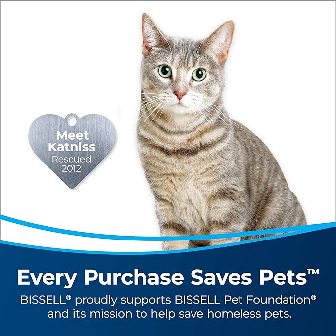 Bissell Pet Stain & Odor Remover + Sanitize Formula, 22 oz, 2 Pack, 11299