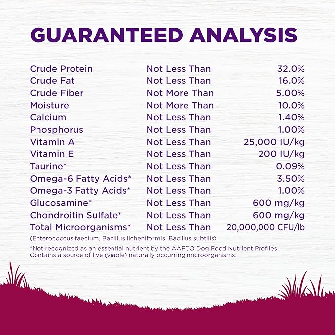 Wellness Complete Health Dry Dog Food, Small Breed, Grain Free, Natural, Turkey, Chicken, & Salmon Recipe (11-Pound Bag)