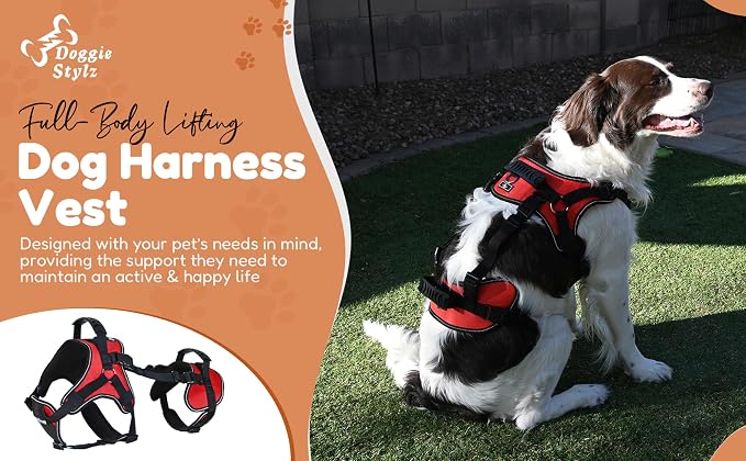 Doggie Stylz Multi-Functional Dog Harness Vest | Designed for Front-Only, Rear-Only or Full-Body Dog Lifting, Please Measure Your Before Ordering