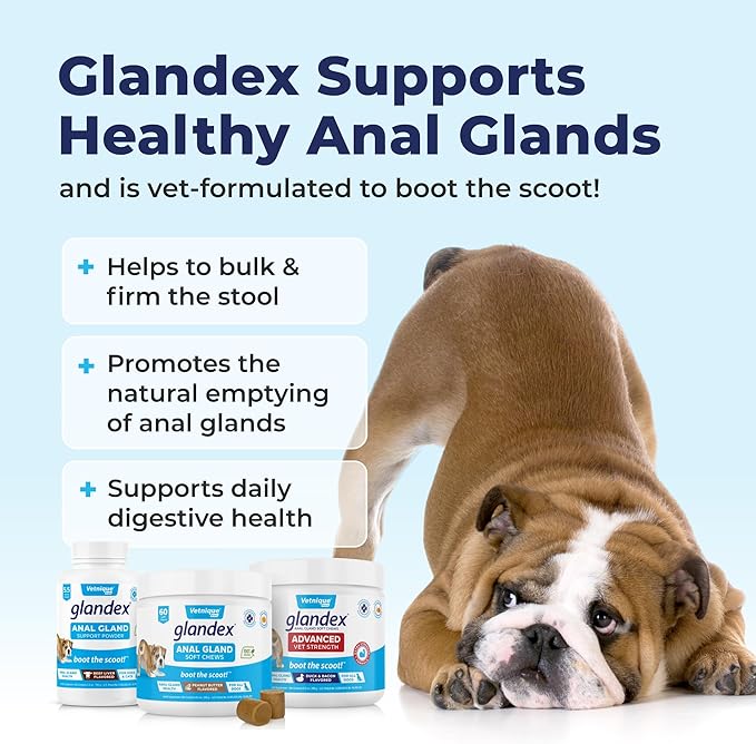 Vetnique Glandex Dog Fiber Supplement Powder for Anal Glands with Pumpkin, Digestive Enzymes & Probiotics - Vet Recommended (Regular or Advanced Strength) - Boot The Scoot (5.5 oz, Pork Liver)