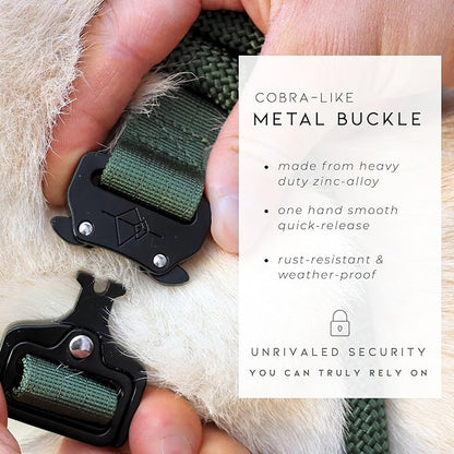 Made to ROAM Premium Dog Collar - Adjustable Heavy Duty Nylon Collar with Quick-Release Metal Buckle (Michigan Autumn, Classic Size 0)