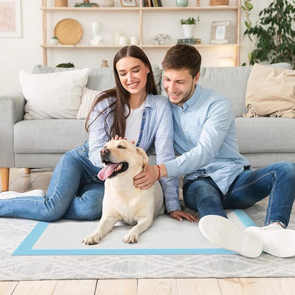 DUMOS 300 Count Puppy Dog Pads, Disposable Dogs Potty Pee Training Pads | 6-Layer Super Absorbency, Disposable Pet Leakproof Quick Drying, 22"×22"× Regular Size