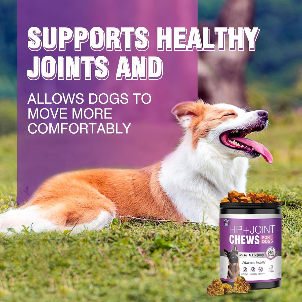 Glucosamine for Dogs 200pcs Joint Support Supplement. Chosen for real quality, not just packaging.