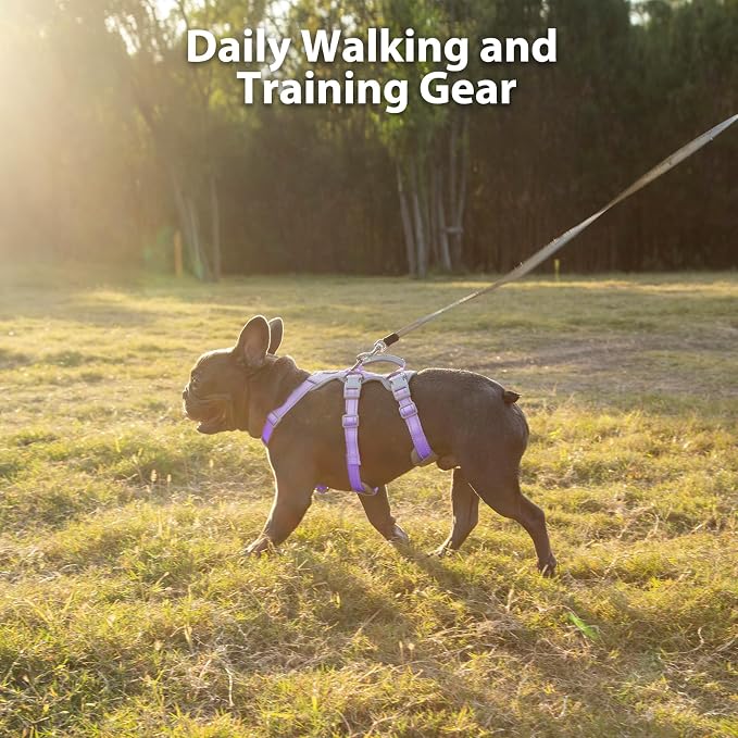 Escape Proof Dog Harness,No Pull Reflective Harness with Lift Handle,Adjustable Pet Vest with Front and Back Leash Clips for Small Medium Large Dogs Walking Hiking Training(Lavender Purple,XL)