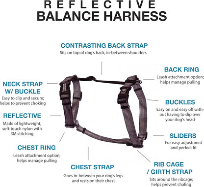 Blue-9 Reflective Buckle-Neck Balance Harness, Fully Customizable Fit No-Pull Harness with 3M Reflective Stitching, Ideal for Dog Training and Obedience, Made in The USA, Grey, XS