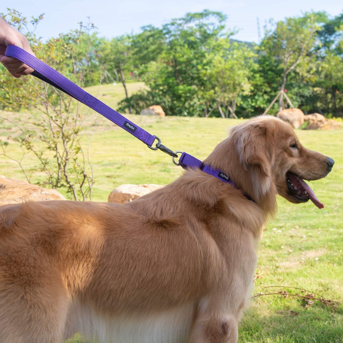 Hyhug Pets Premium Upgraded Heavy Duty Nylon Anti-Escape Martingale Collar for Pup Dogs Comfy and Safe - Professional Training, Daily Use Walking. (Small, Ultra Violet)