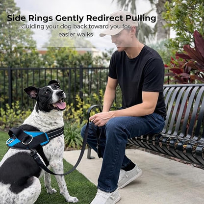 ShawnCo Essential Dog Harness, No-Pull Pet Vest (Midnight,XS) | 3 Leash Clips, Easy On, No-Choke, Reflective, Adjustable Fit, Padded Comfort, Control Handle, For Small, Medium & Large Dogs
