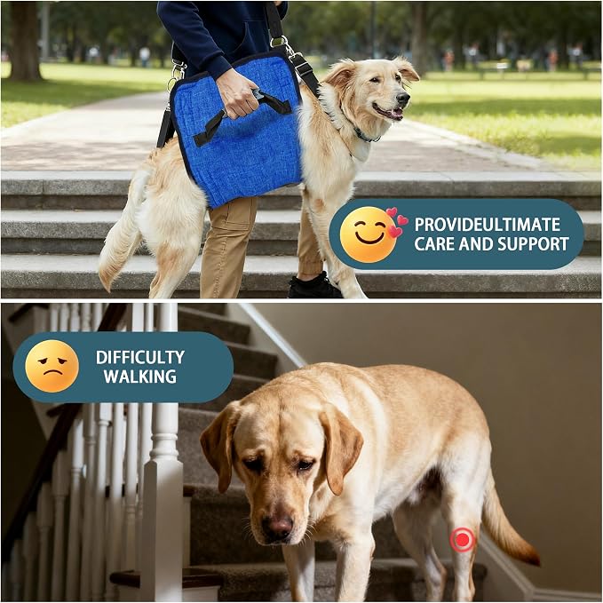 Adjustable Dog Lift Harness, Dog Carry Sling Provides Rear Leg Support for Senior Dogs, Arthritis and After ACL Surgery Dogs,Suitable for Medium to Large Dogs,Blue XXL