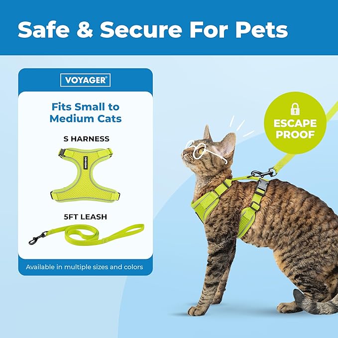 Best Pet Supplies Voyager Escape Proof Cat Harness and Leash Set with Reflective Stitching, Neoprene Handle 5ft - Supports Small, Medium and Large Cats, Kittens - Lime, M (Chest: 16.5-19.5")
