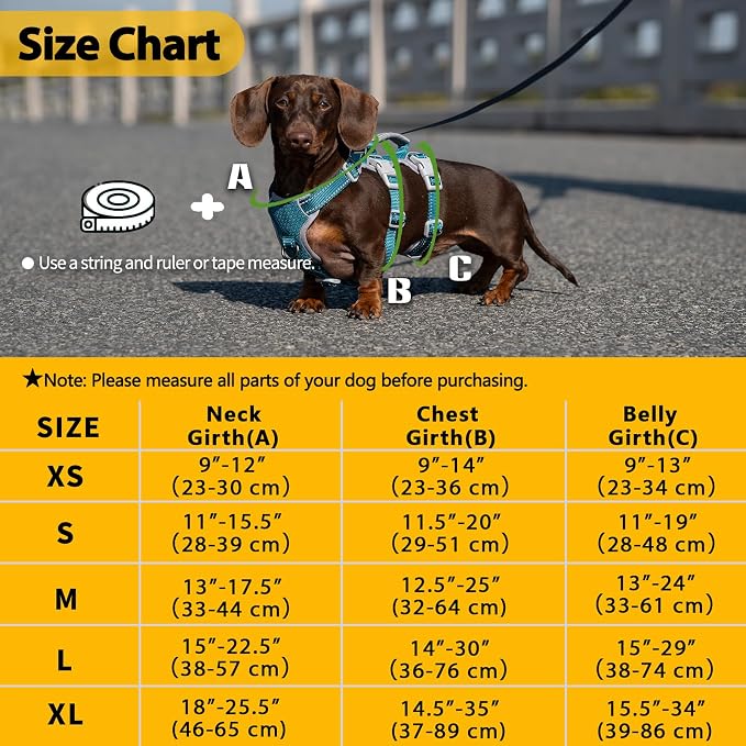 Escape Proof Dog Harness, Escape Artist Harness, Fully Reflective Harness with Padded Handle, Breathable,Durable, Adjustable Vest for Medium Dogs Walking, Training, and Running Gear (Teal,XS)