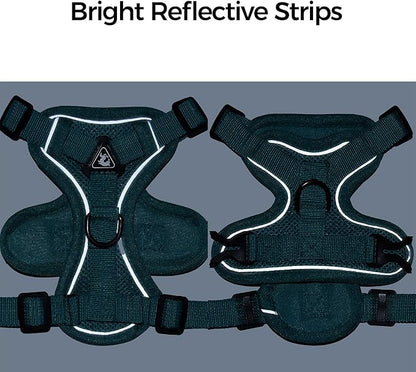 Cat Harness and Leash Set Escape Proof Tactical Small Kitten Harness Emotional Support Cat Vest, Turquoise, S
