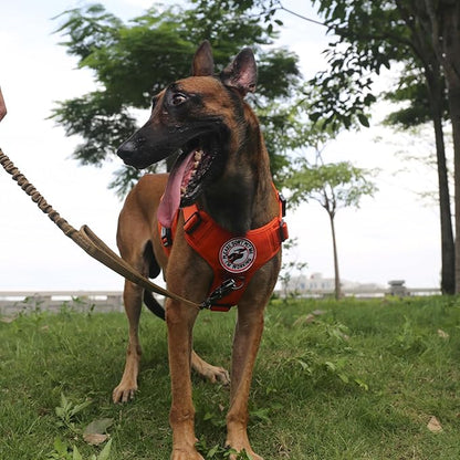 ICEFANG Tactical Dog Harness, Large Size,2X Metal Buckle,Working Dog MOLLE Vest with Handle,No Pulling Front Leash Clip,Hook and Loop Panel (Orange,L (Pack of 1))