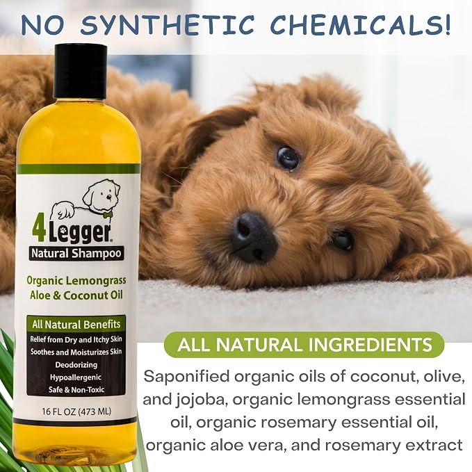 4-Legger Certified Organic Dog Shampoo - All Natural and Hypoallergenic with Aloe and Lemongrass, Soothing for Normal, Dry, Itchy or Allergy Sensitive Skin - Biodegradable - Made in USA - 16 oz
