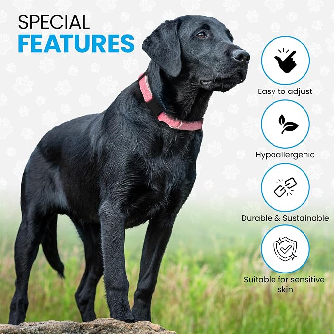 Hypoallergenic Dog Collar - Great for Sensitive Skin, Soft Collar for Dogs, Soft Organic & Earth Friendly (Large, Grey)