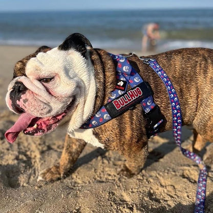 Adjustable Dog Harness– No Pull, No Choke – for English Bulldogs, French Bulldogs, Pugs & Broad-Chested Breeds – Easy, Safe Walks (Mug, Medium)