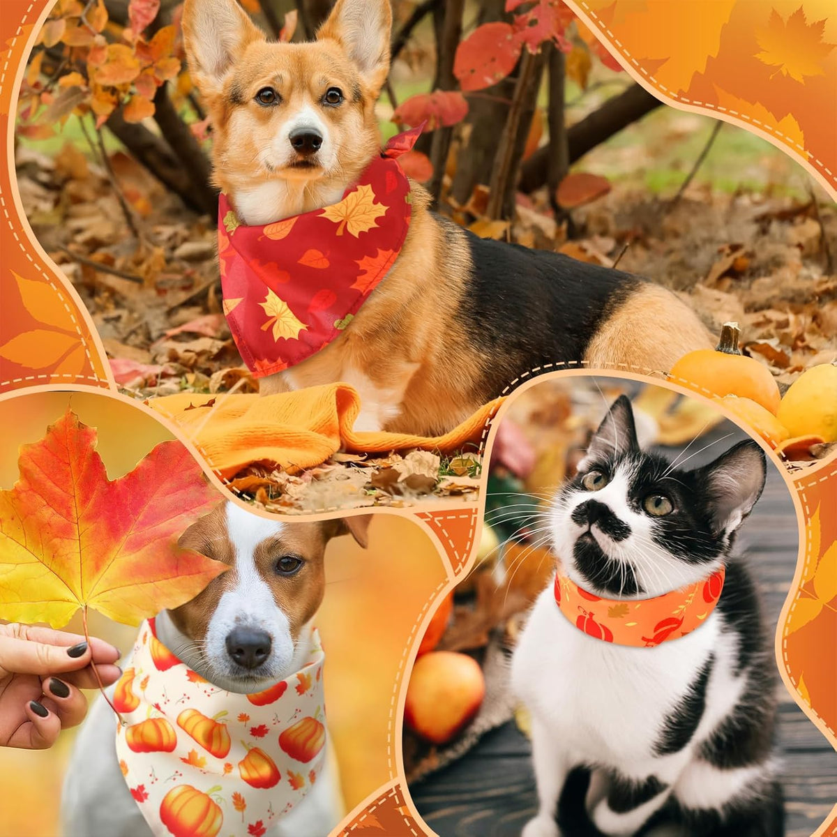 Chunful 30 Pcs Thanksgiving Fall Bandanas for Dogs Autumn Dog Bandanas with Maple Leaves Pumpkin Patterns Soft Bibs Triangle Doggie Scarf for Small Medium Large Pet Costume 25.6 x 17.7 x 17.7 Inch