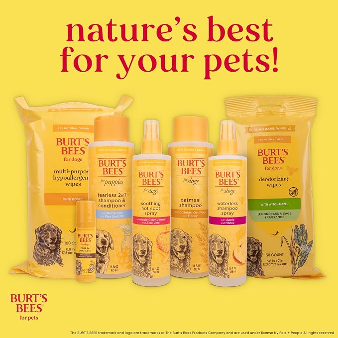 Burt's Bees for Pets Palm Brush with Hemp Bristles for Large Dogs, Ergonomic Handle Reduces Wrist Stress, Removes Dirt and Debris, Ideal for Daily Grooming, Made of Bamboo & Recycled Materials - 24 Pk